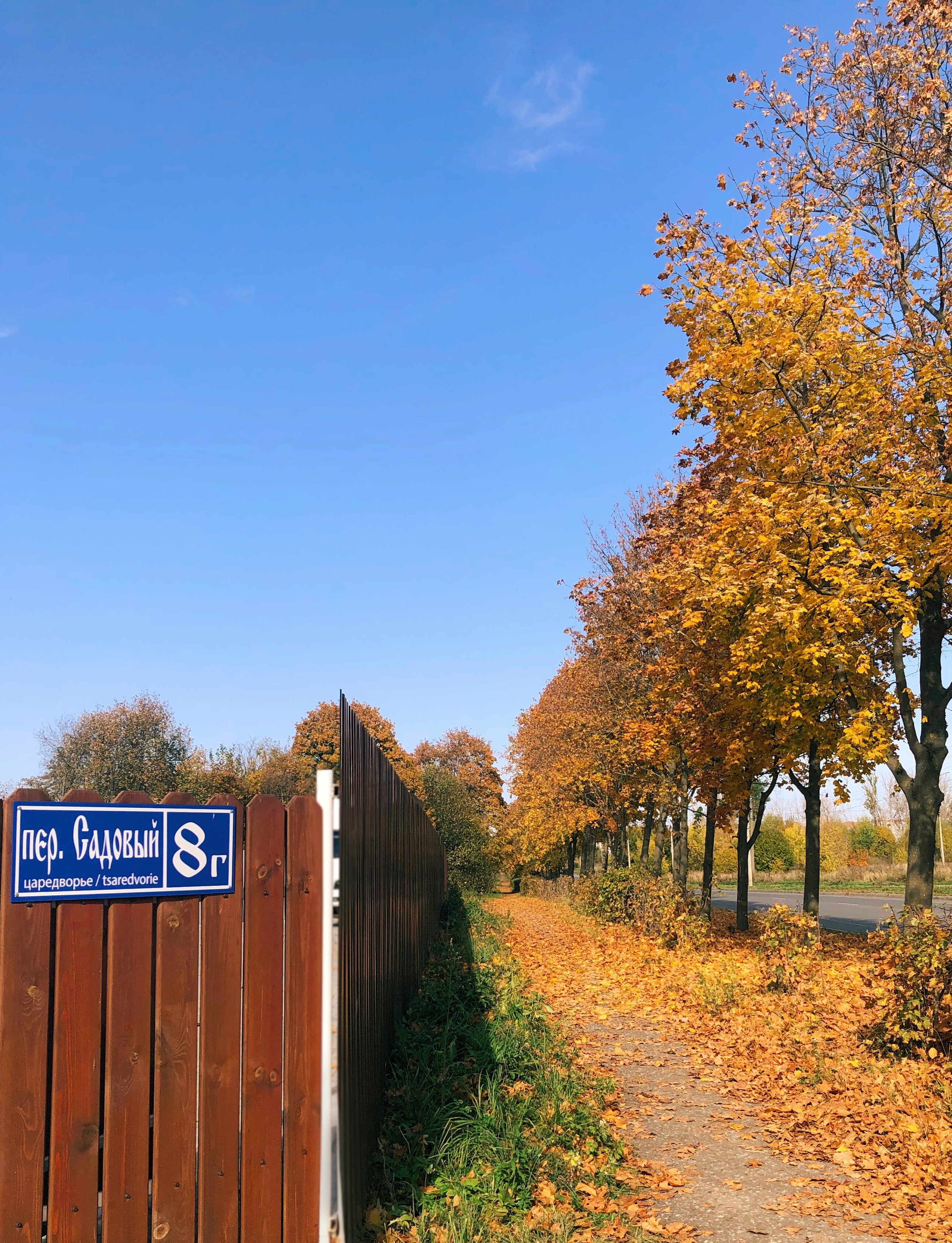 Фото Царедворье