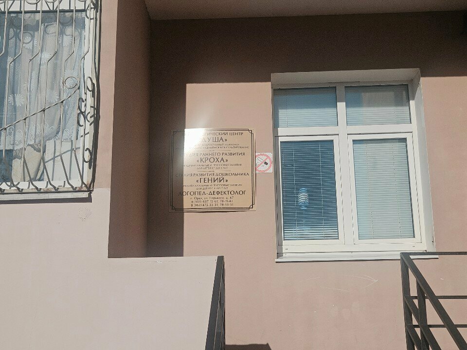 Children's developmental center Кроха, Orel, photo