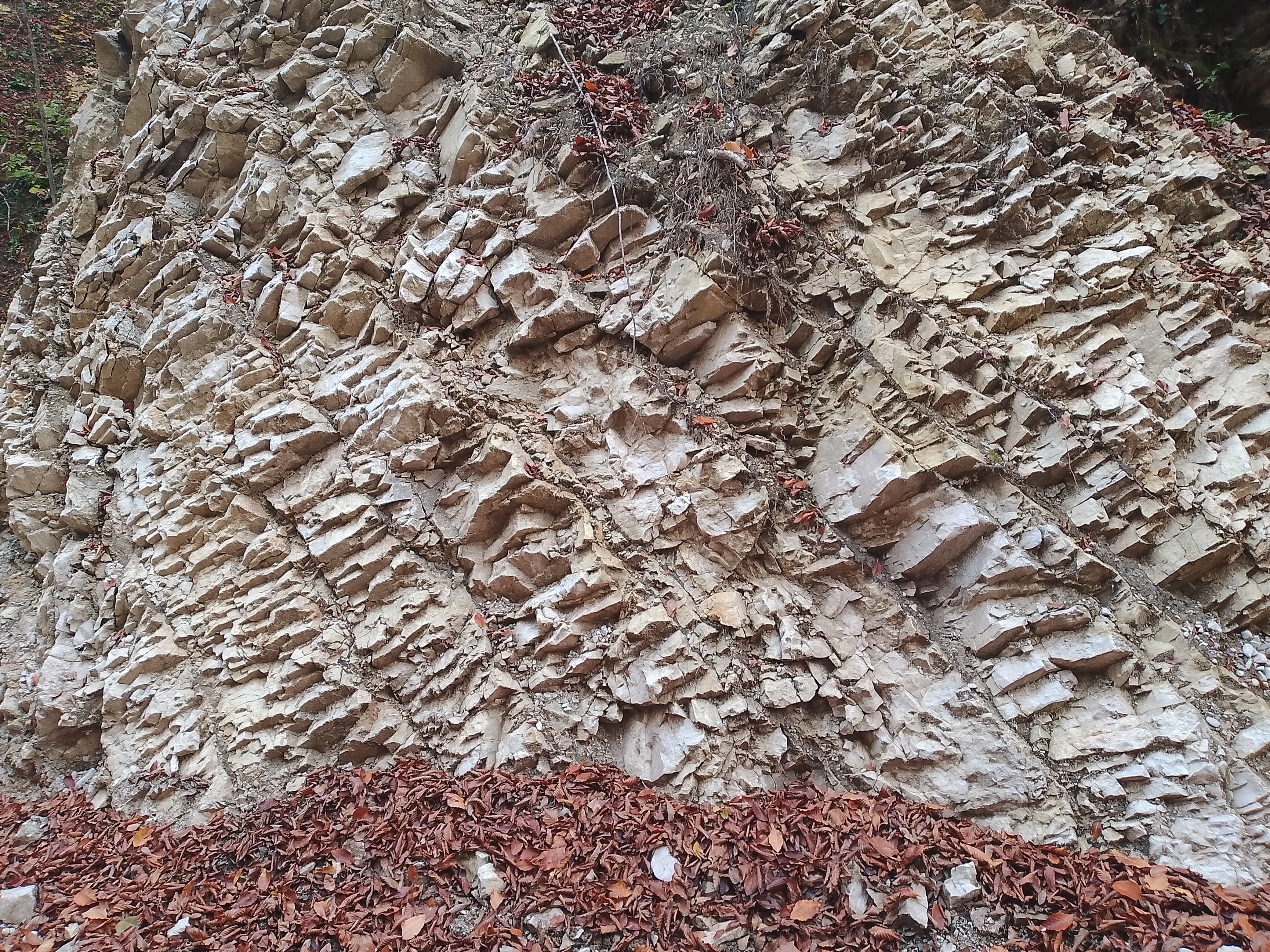 Фото Всесезонный курорт Беной