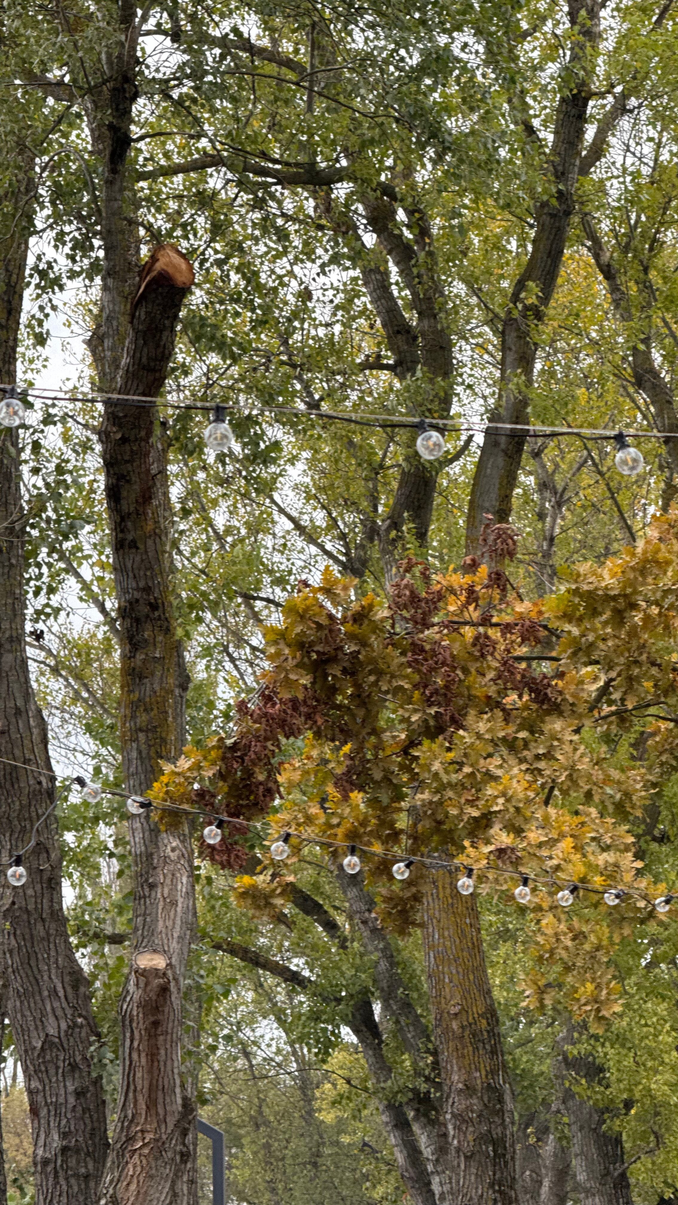 Фото База отдыха Духугу