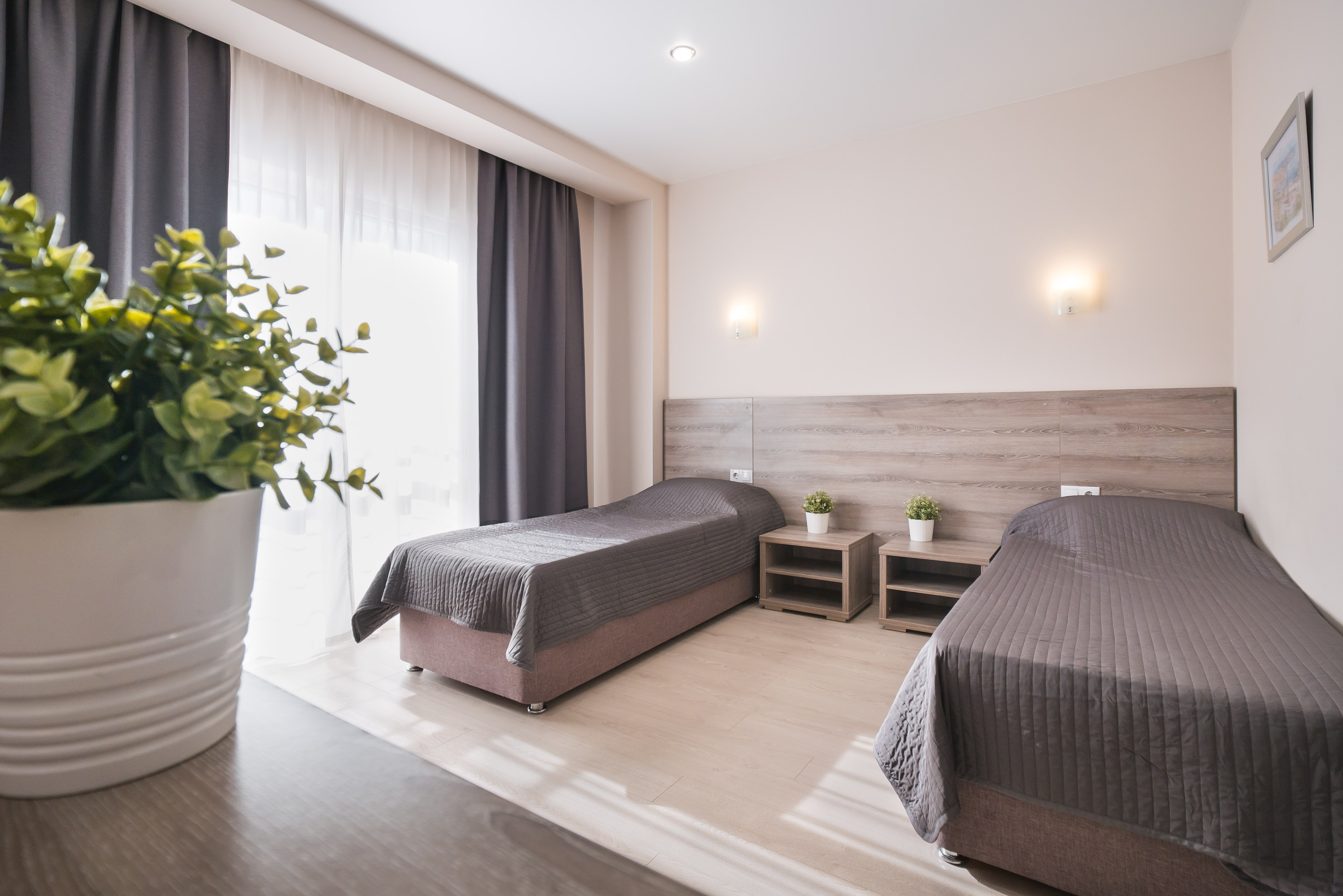 Фото Абрикос Плюс