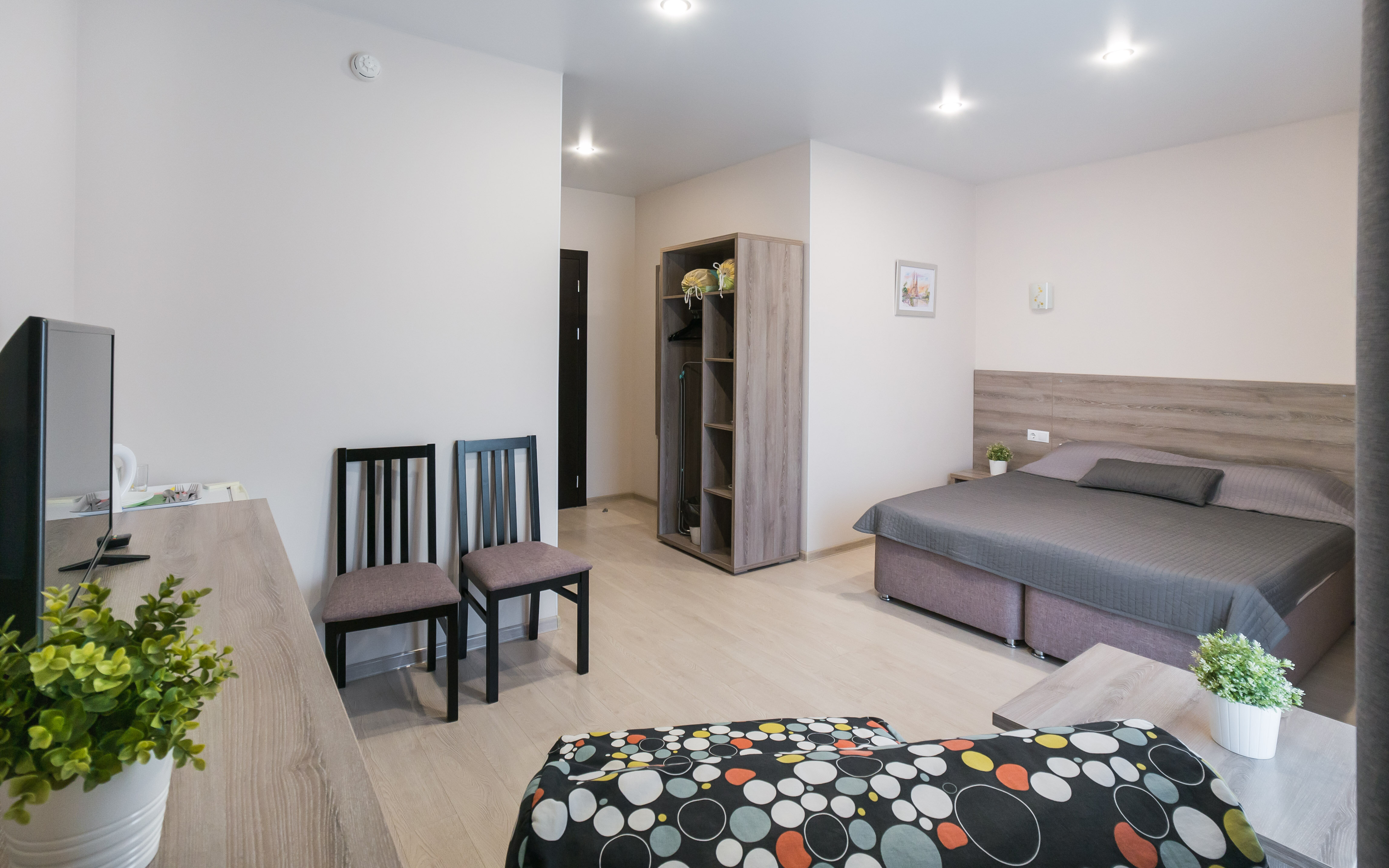 Фото Абрикос Плюс