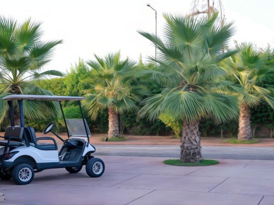 Фото Oasis Lodges