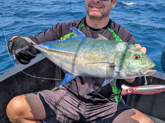 Фото Dhoani Maldives Guesthouse