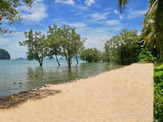 Фото Tha Lane Bay Villa