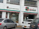 Artelia Ltda (Bogotá, Calle 53 Avenue, 17-24), gift and souvenir shop