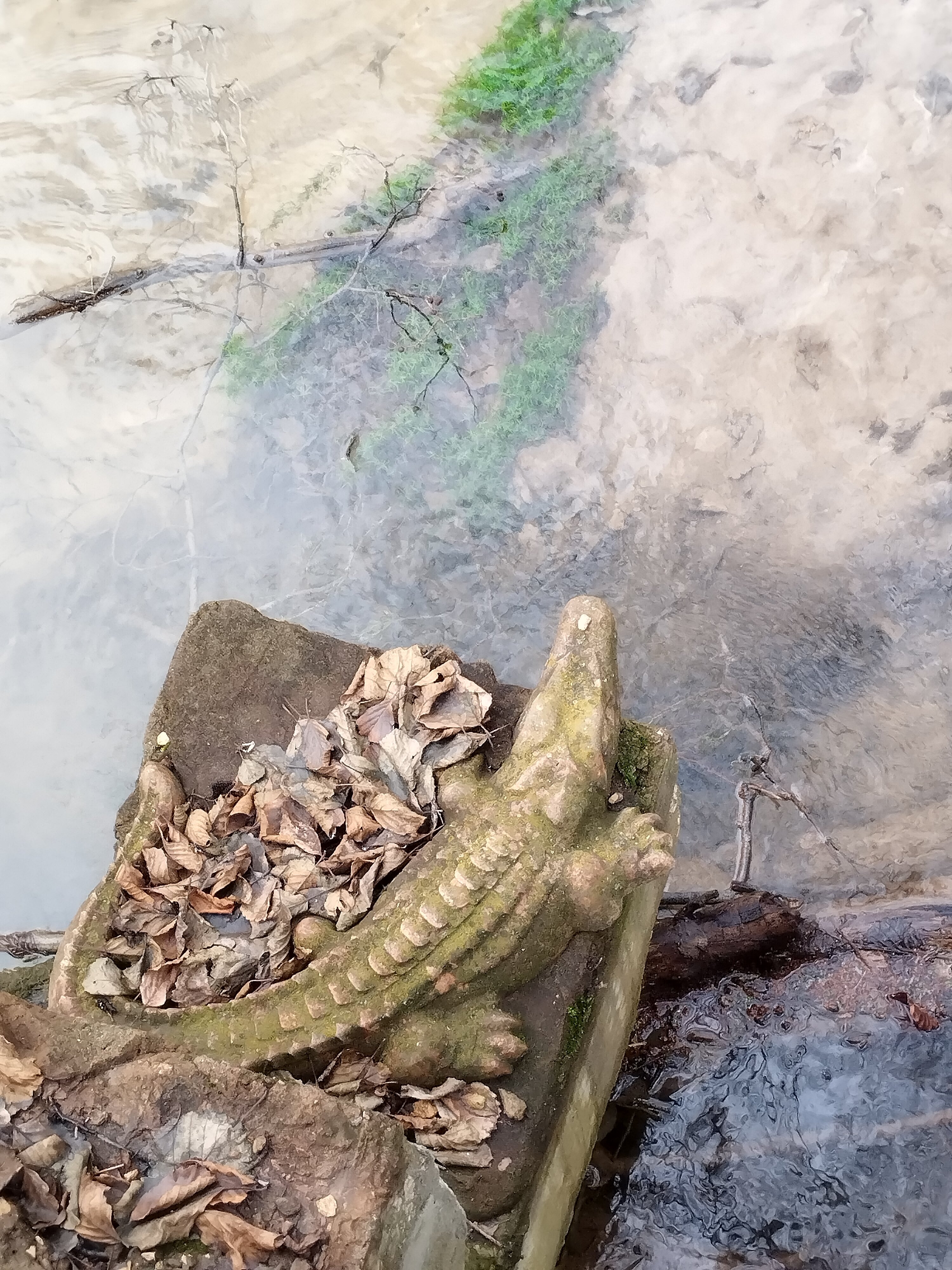 Фото Залесье