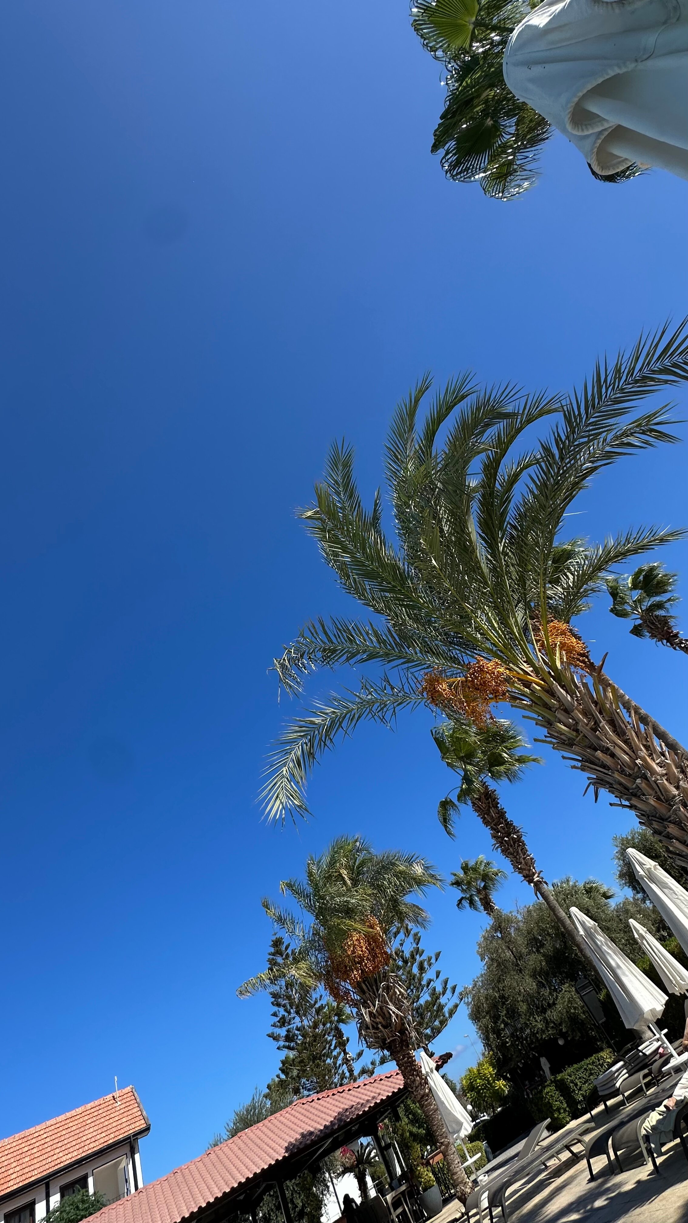 Фото The Ship Inn Hotel