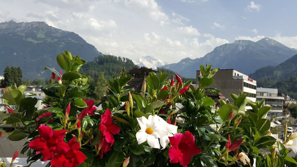 Фото Hotel Bernerhof