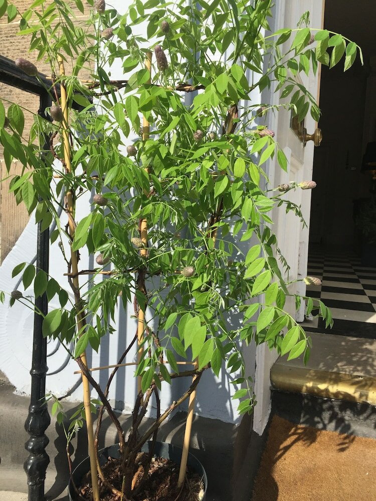 Фото Edinburgh 37