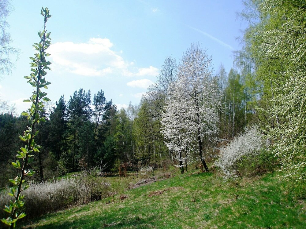 Фото Cihelny Golf & Wellness Resort