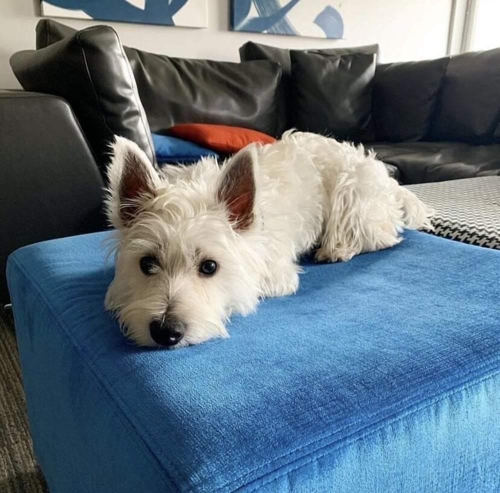 Фото Aloft Newport On The Levee