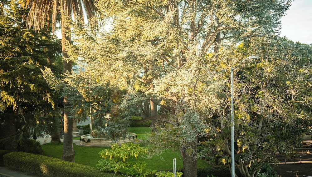 Фото Hotel Sausalito