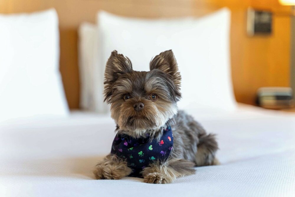 Фото Hyatt Place Pasadena