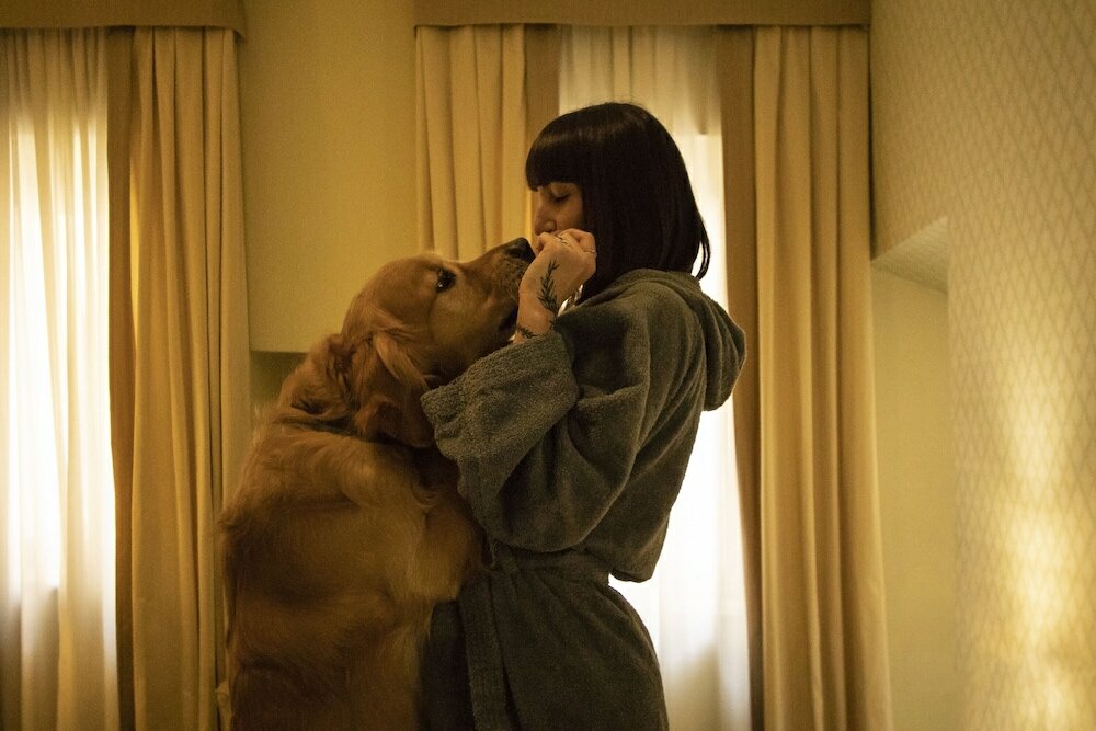 Фото Hotel La Locanda