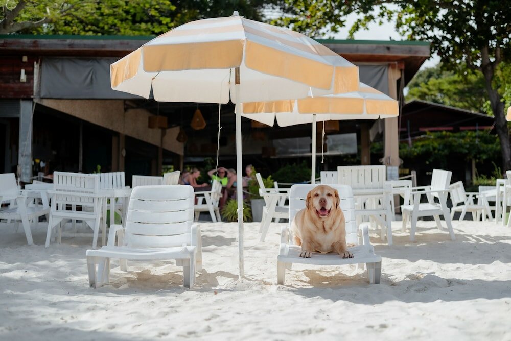 Фото Tubtim Resort