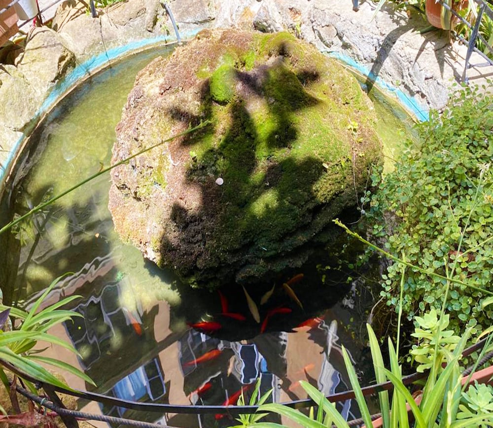 Фото Sweet Dream Roma Termini