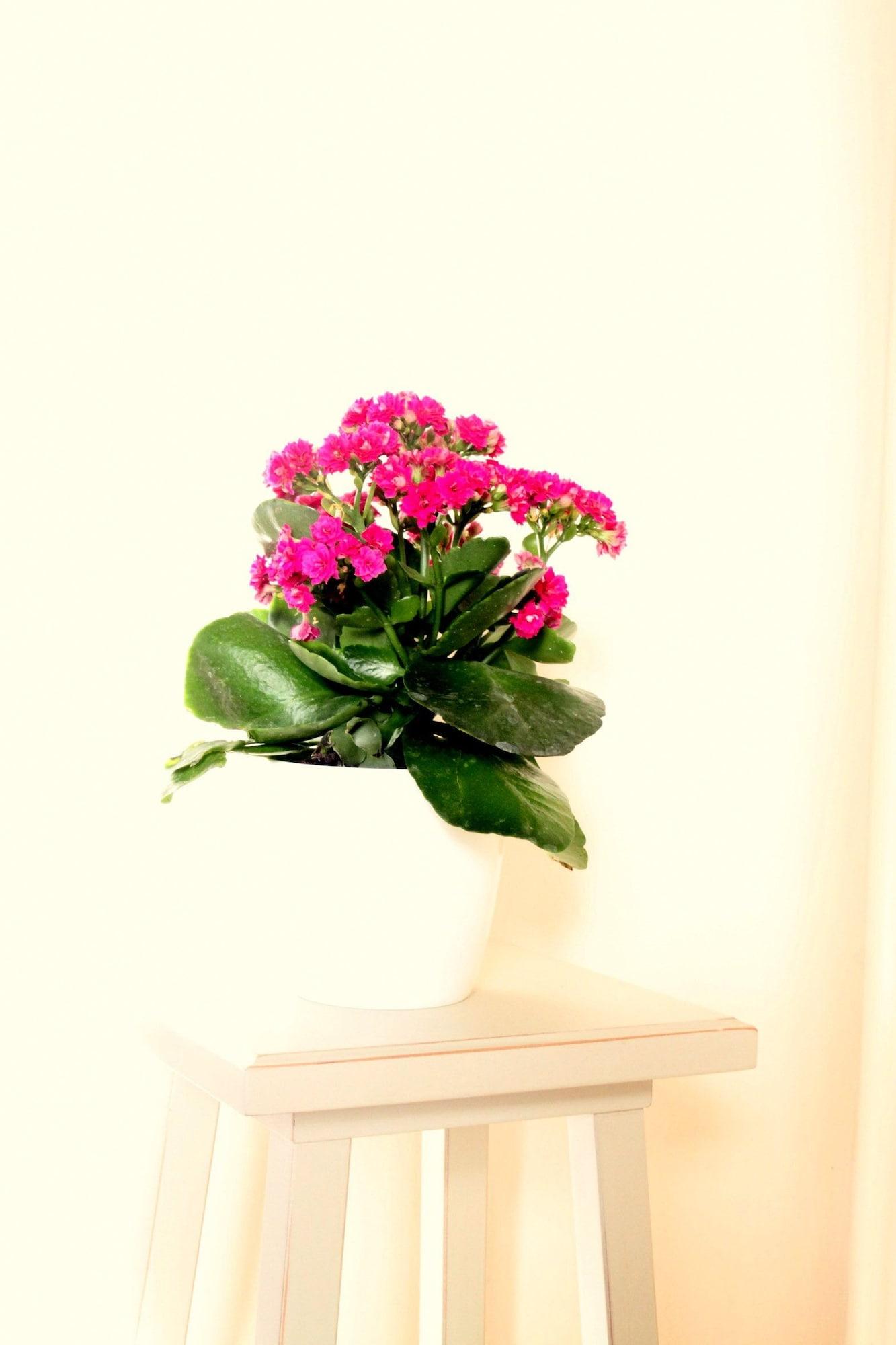 Фото Hotel Villa Azzurra