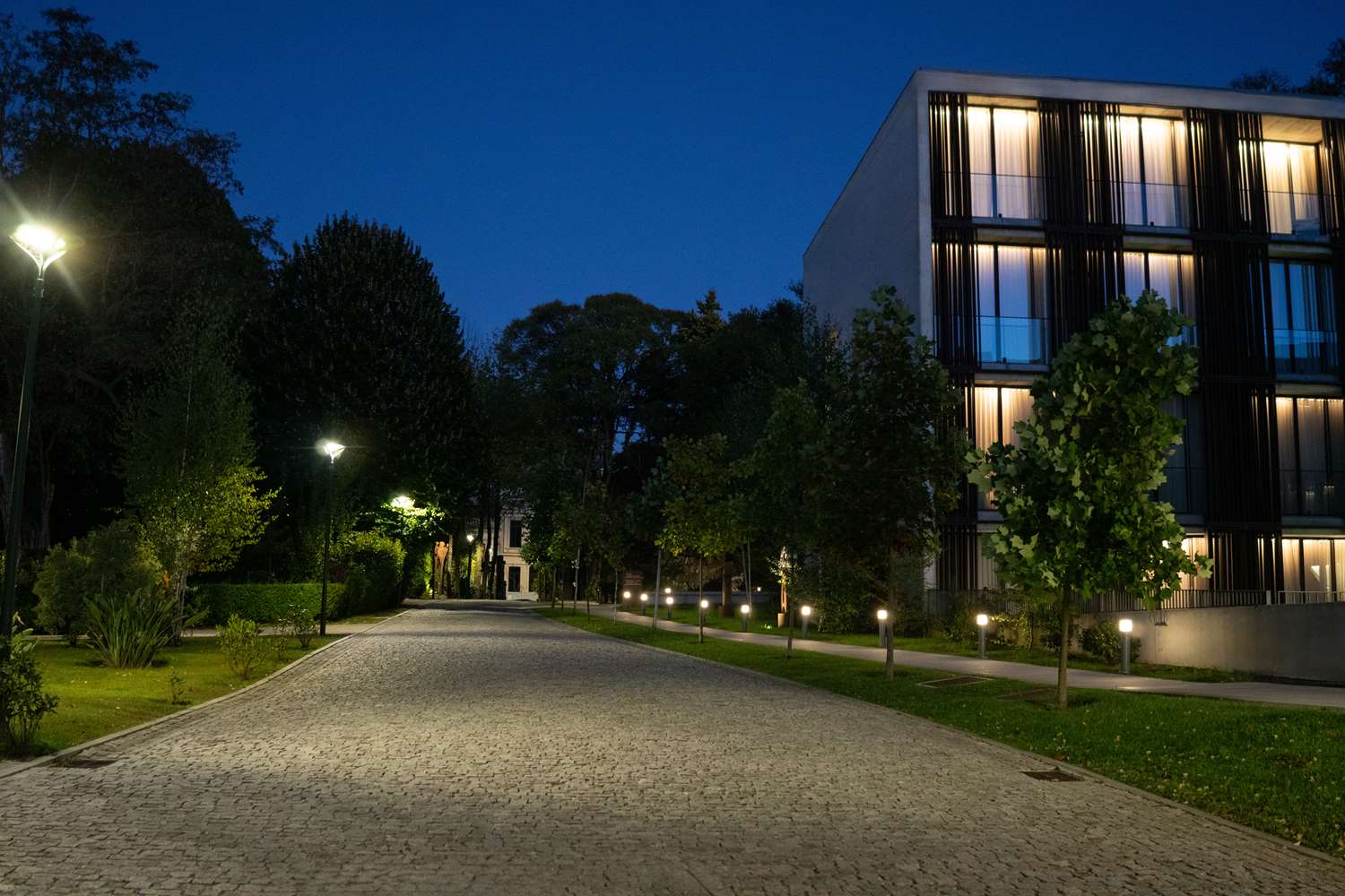 Фото Boeira Garden Hotel Porto Gaia, Curio Collection by Hilton