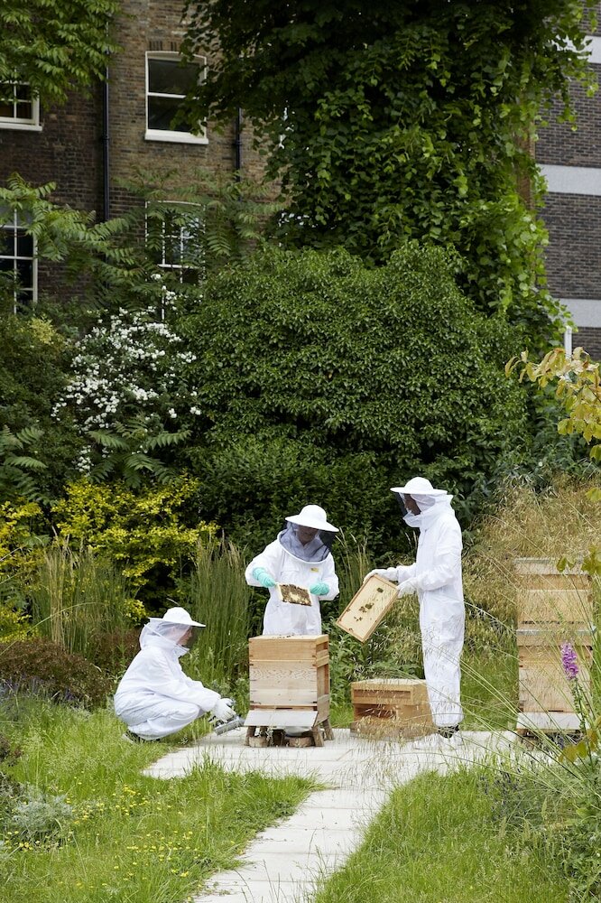 Фото The Montague On The Gardens by Red Carnation Hotel Collection