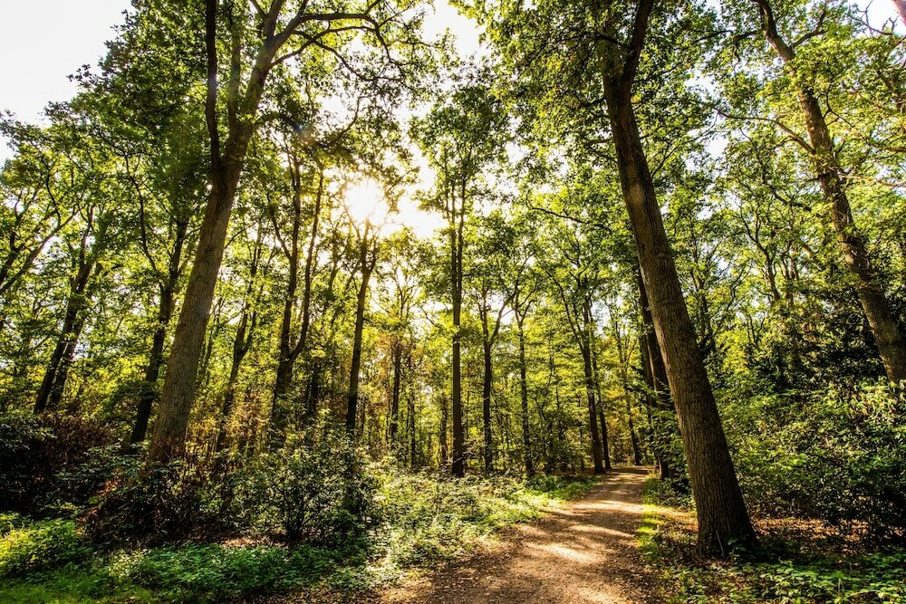 Фото Pullman Eindhoven Cocagne