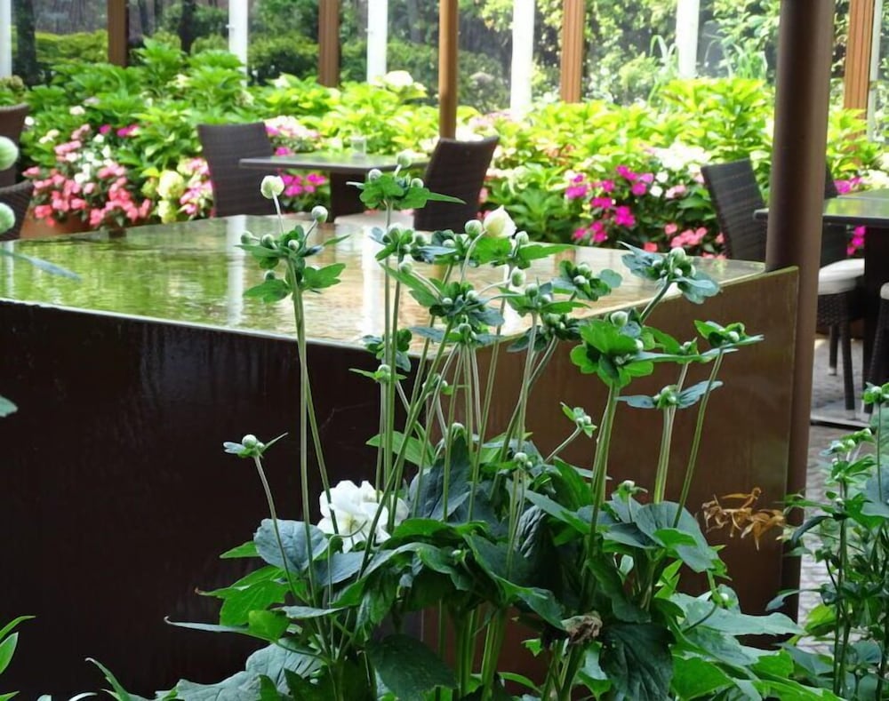 Фото Hotel Leopardi