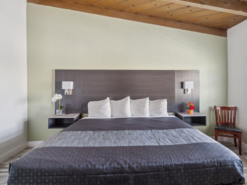 Фото Discovery Inn