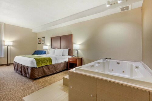 Гостиница Comfort Inn Lenoir City-Knoxville в Ленуар Сити