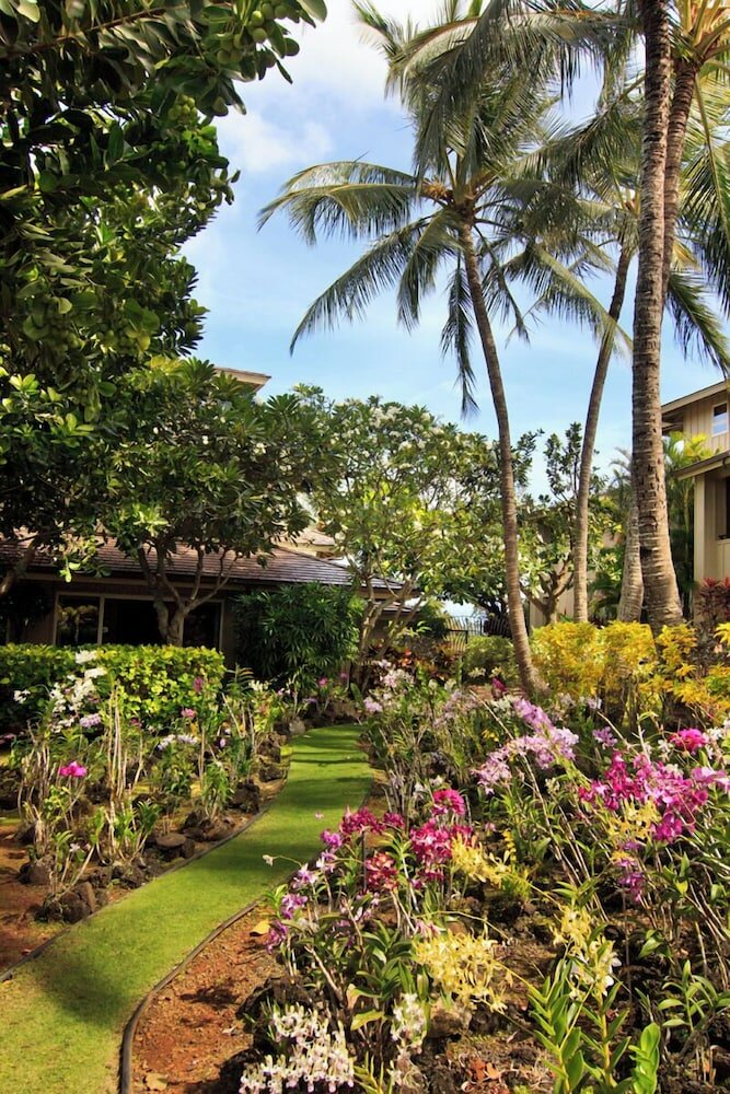 Фото Whalers Cove Oceanfront Resort