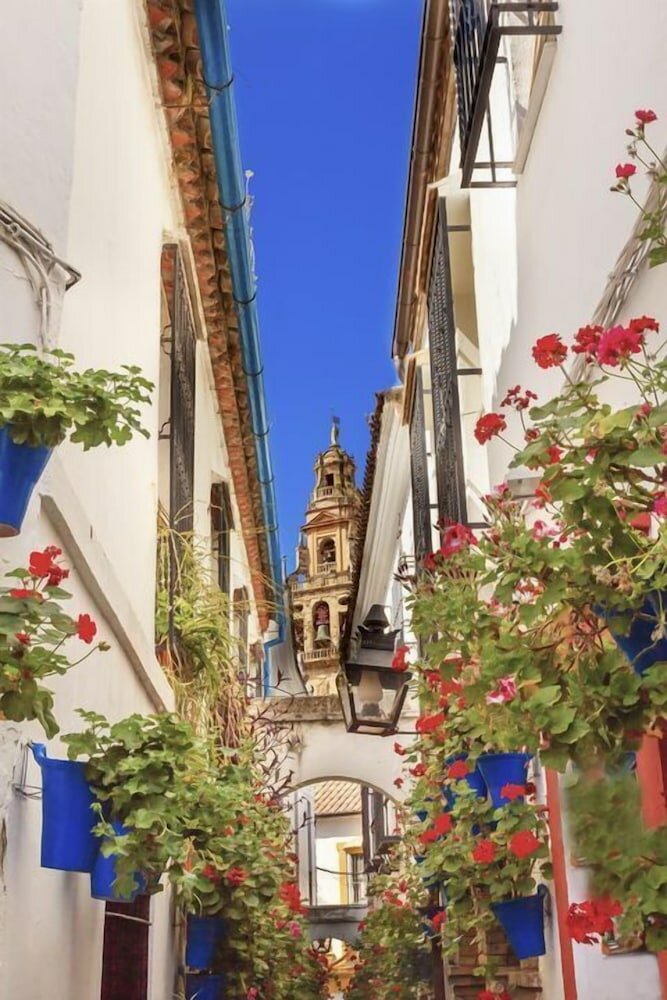 Фото Hotel Plateros