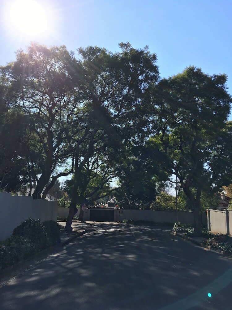 Фото Maison Jacaranda