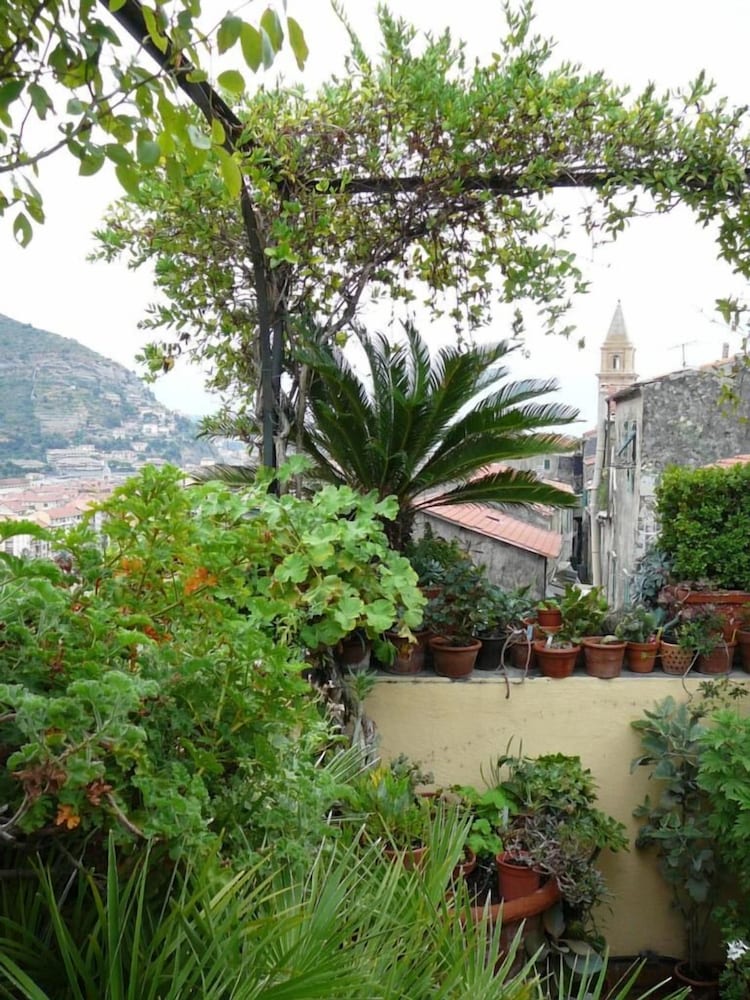 Фото La Terrazza dei Pelargoni B&b