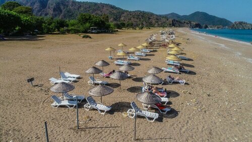 Гостиница Cirali Zakkum Bungalow в Кумлудже