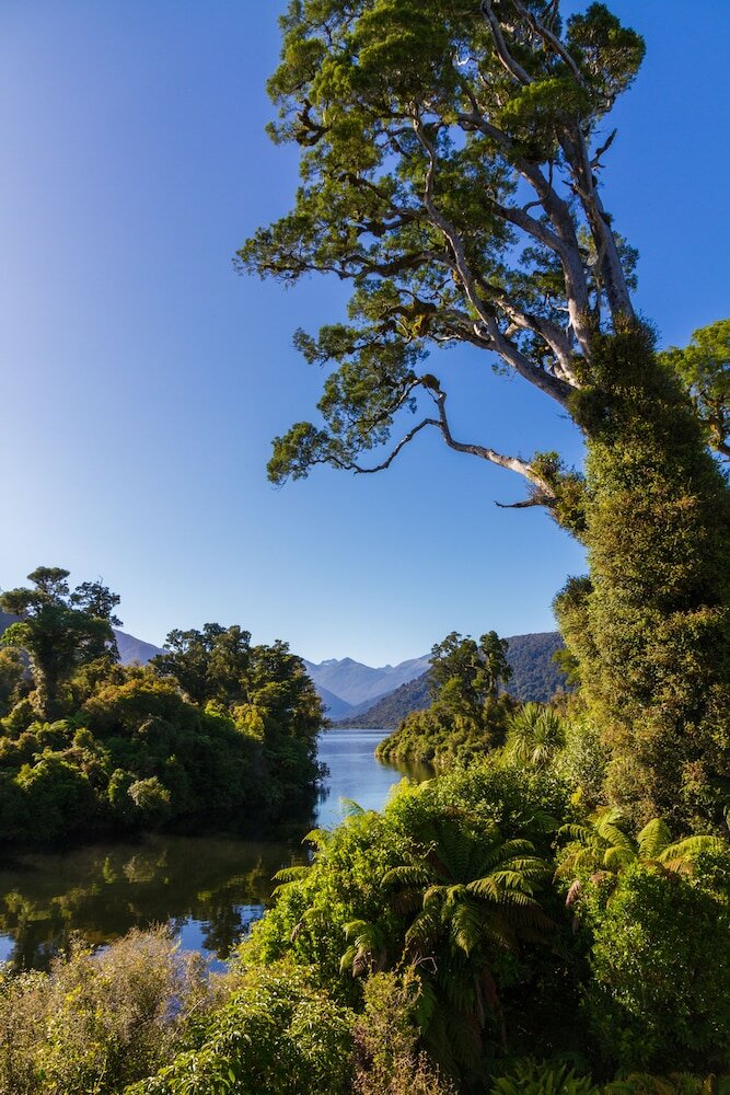 Фото Heartland Hotel Haast