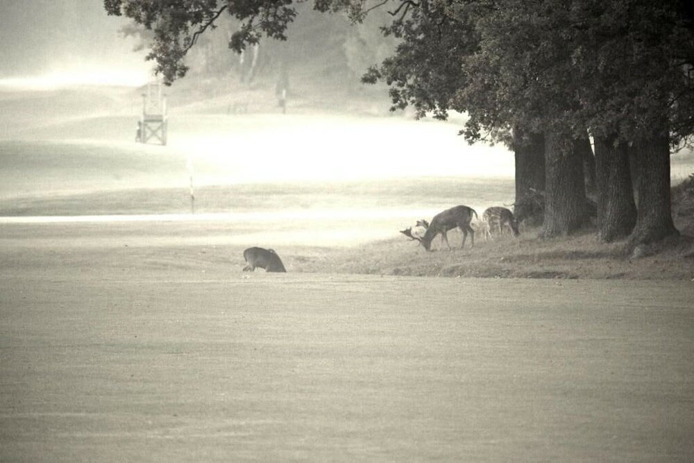 Фото Åda Golf & Country Club
