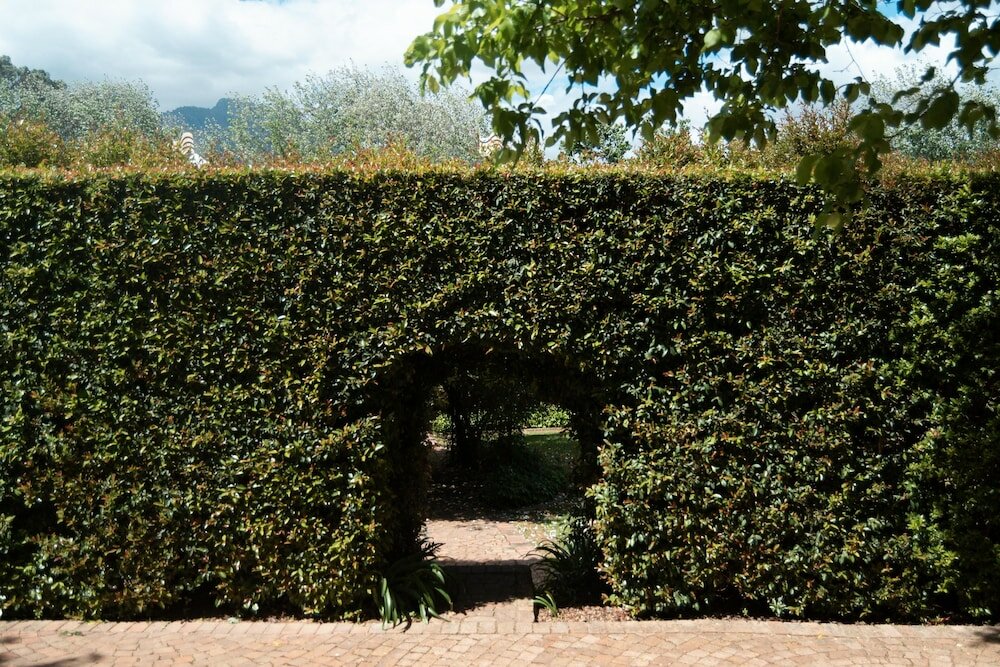 Фото Weltevreden Estate