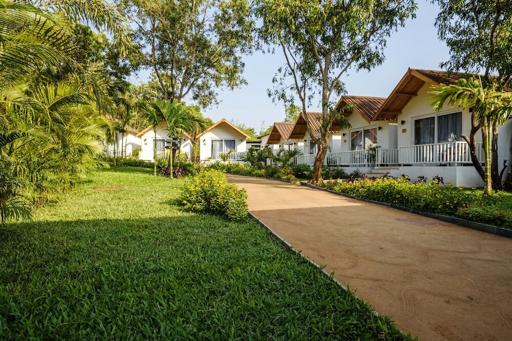 Фото White Woods Resort and Spa