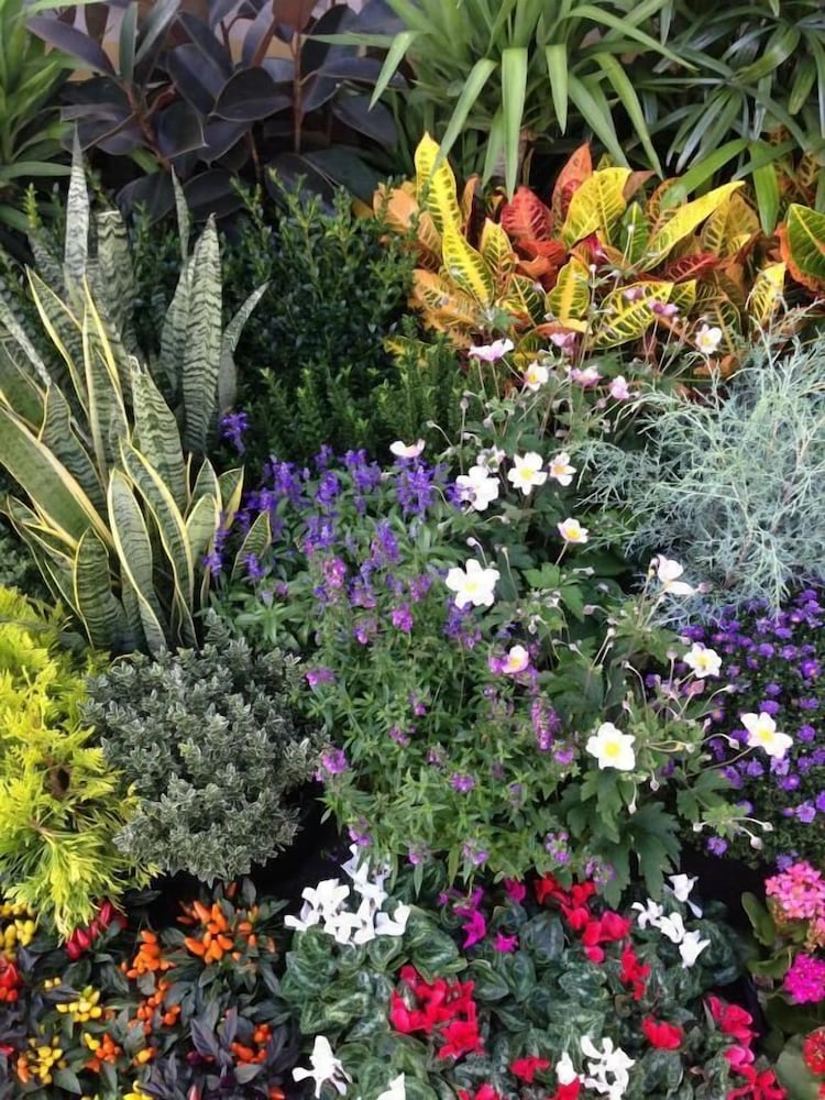 Фото B&b Il Picchio