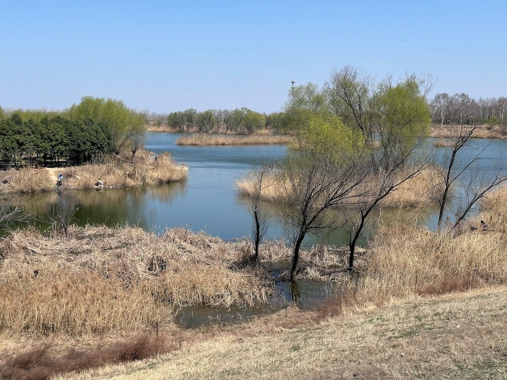 Фото Crowne Plaza Zhengzhou High Tech Zone, an Ihg Hotel