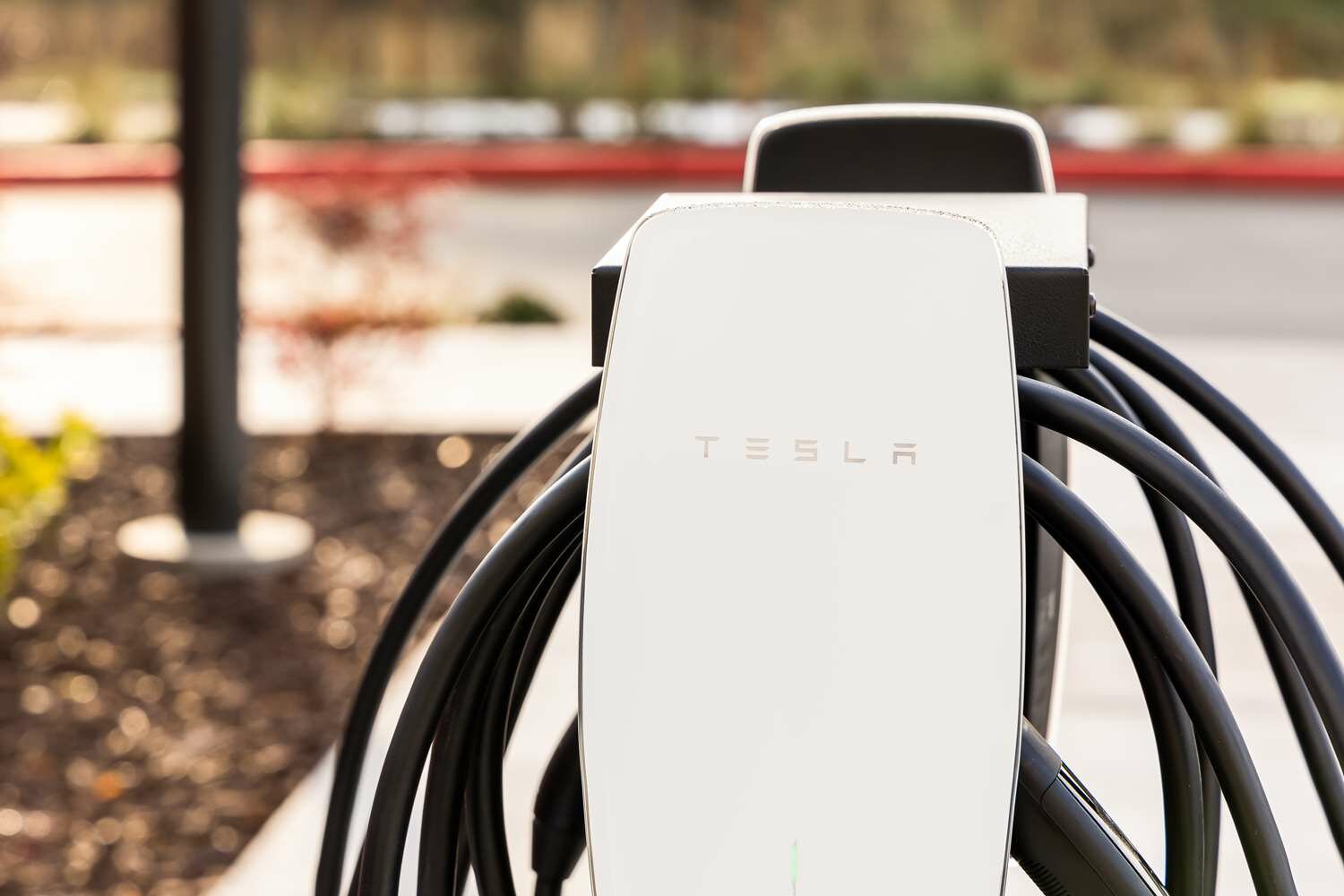 Фото Hampton Inn & Suites Santa Rosa Sonoma Wine Country