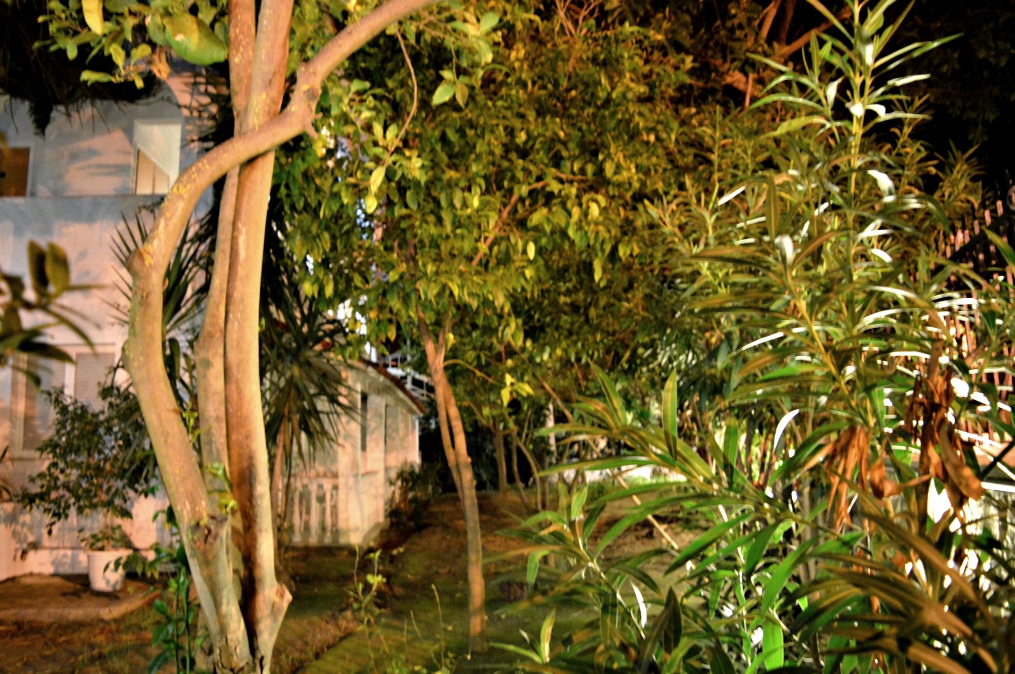 Фото Paradise Beach Hotel