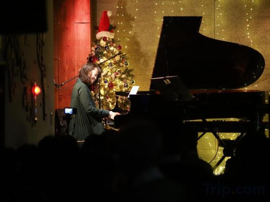 Фото Tokyo Guesthouse Oji Music Lounge