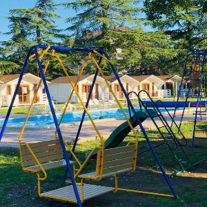 Фото Цитрус 1