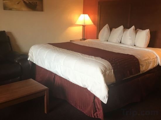 Фото Red Carpet Inn Medford