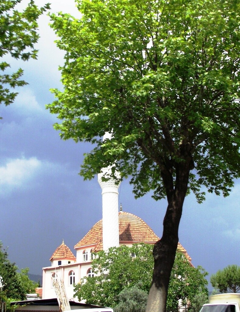 Mosque Ilıcabaşı Mosque, Efeler, photo