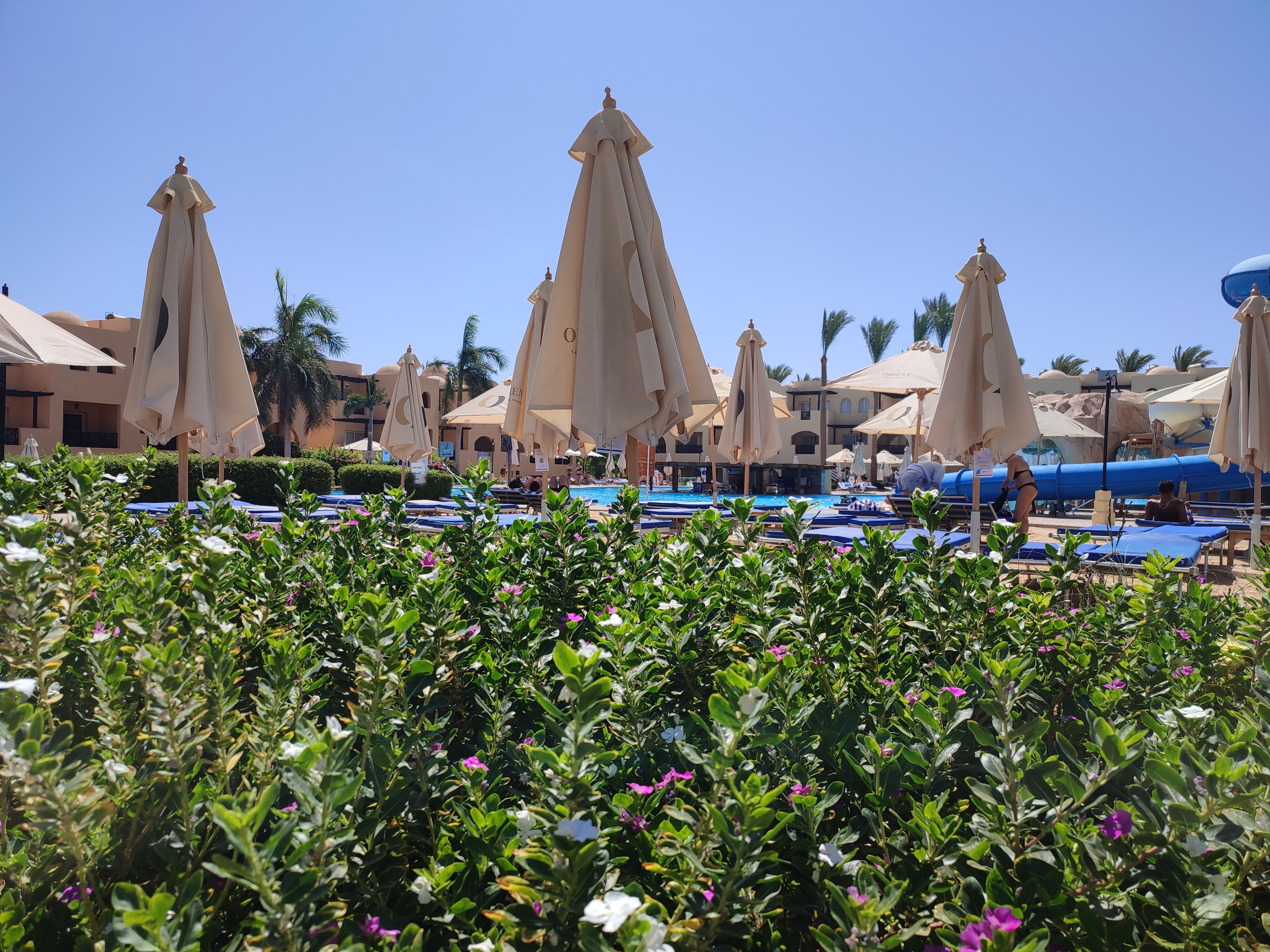 Фото Stella Gardens Resort & SPA