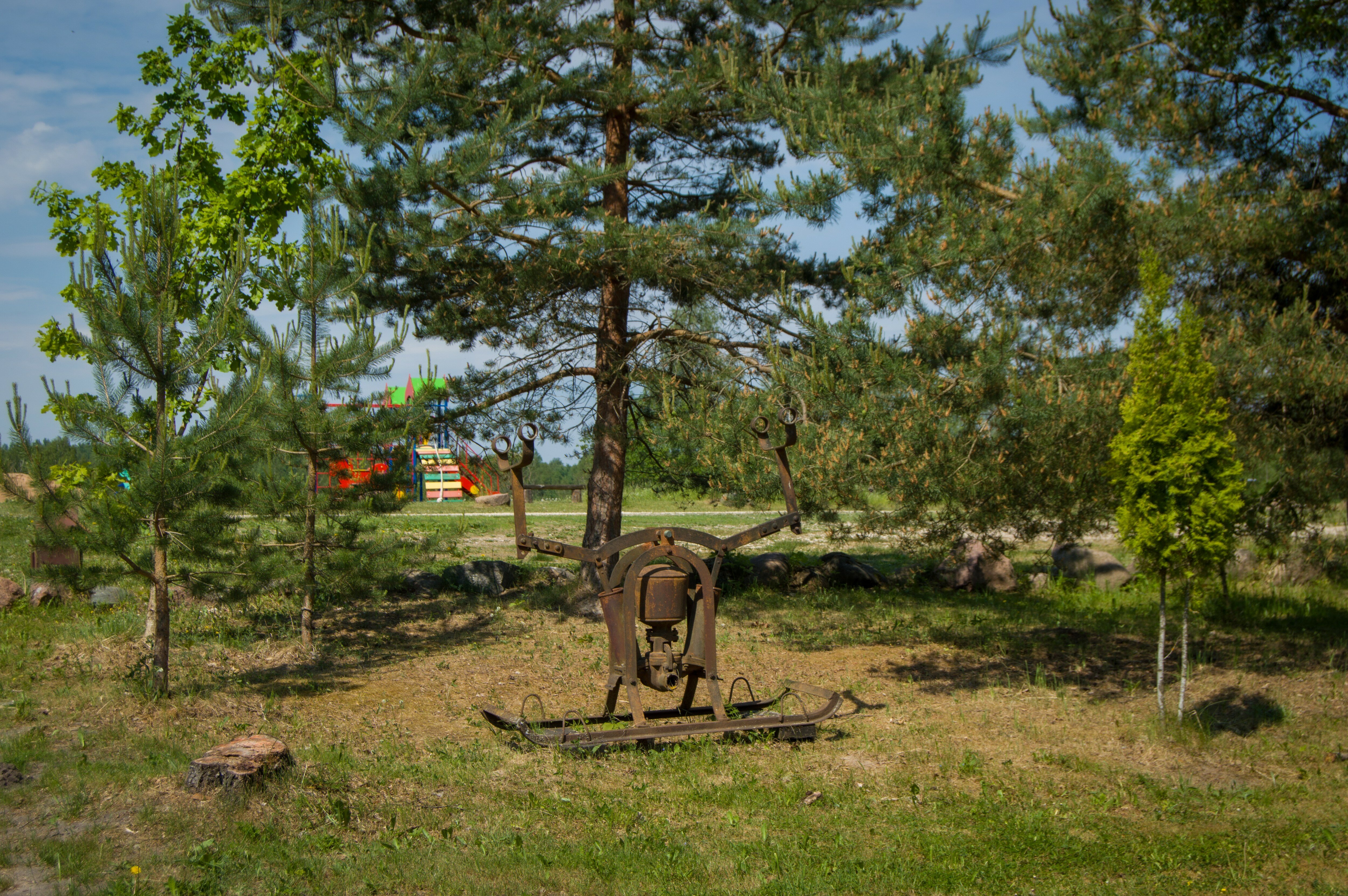 Фото Березовый хутор
