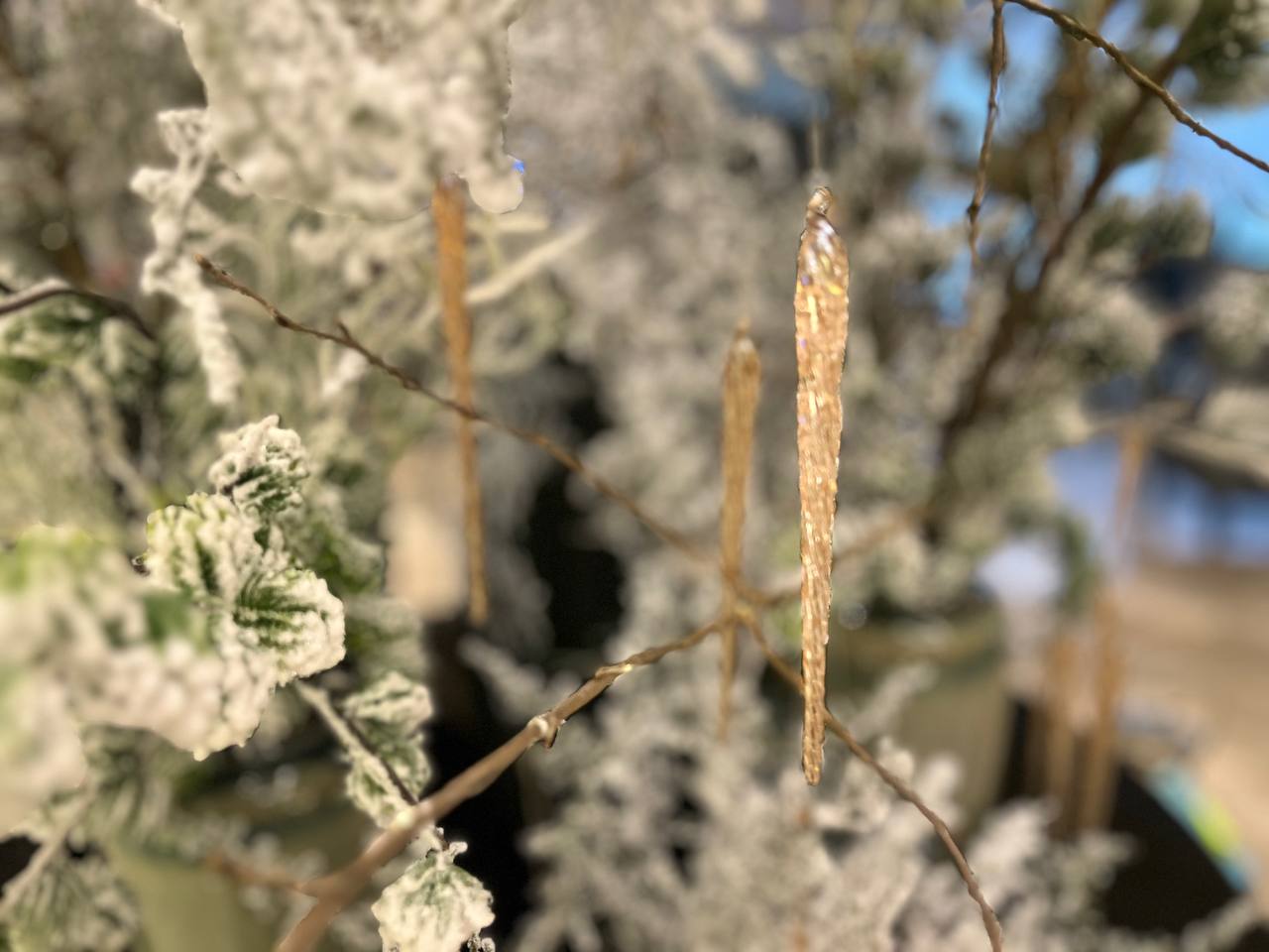 Фото Костас