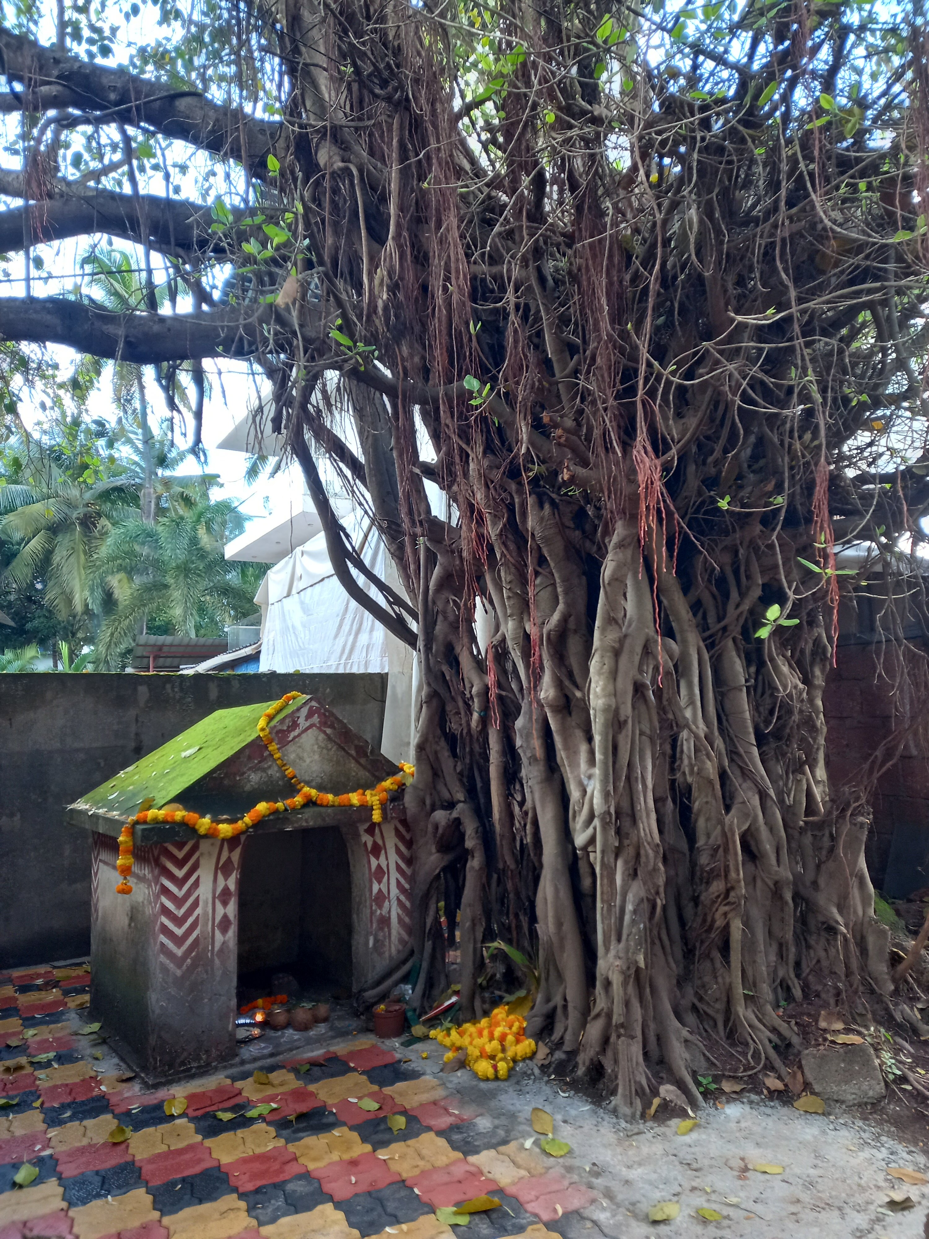 Фото Naga Cottages