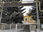 The Central Mosque (D. Qonaev köşesı, 205) ، مسجد